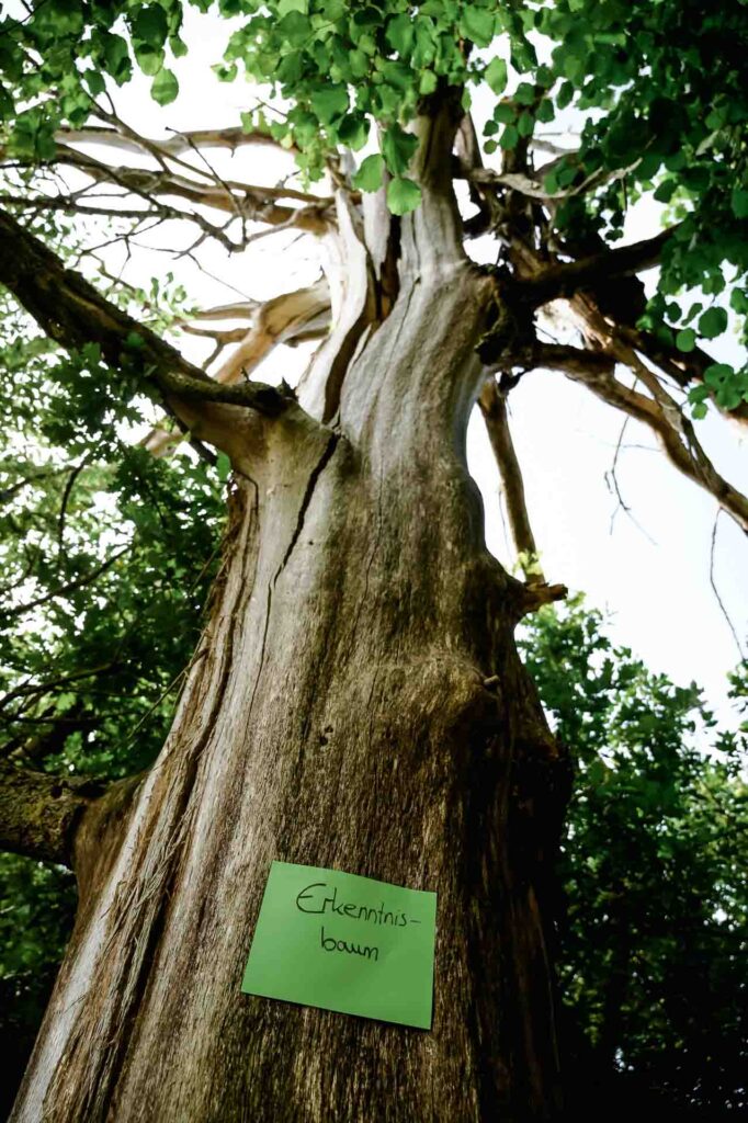 Ein Zettel an einem Baum